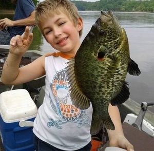 Meet your Posher, Andy